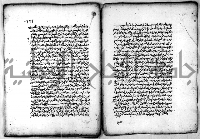 فقة من مخطوطات مسجد الحاج نمر النابلسي 
