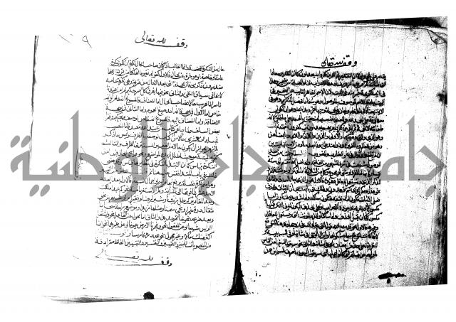 شرح شذور الذهب لابن هشام