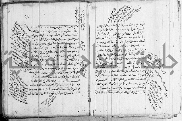 نحو - شرح الكافية