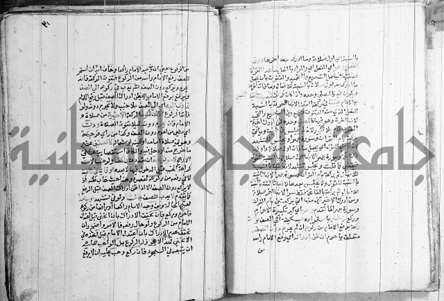 مجموع - كتاب في الفقة