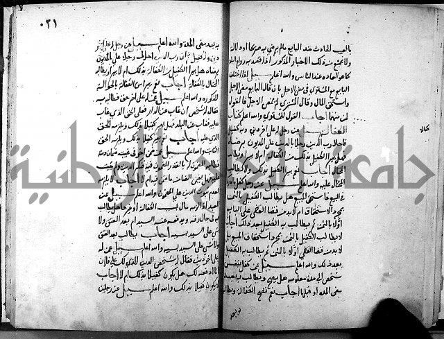 الفتاوى الامينية