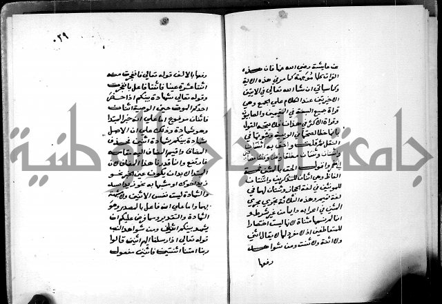 شرح شذور الذهب في معرفة كلام العرب 