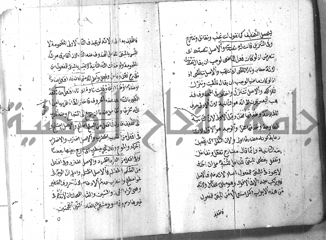 التفنن في الصرف