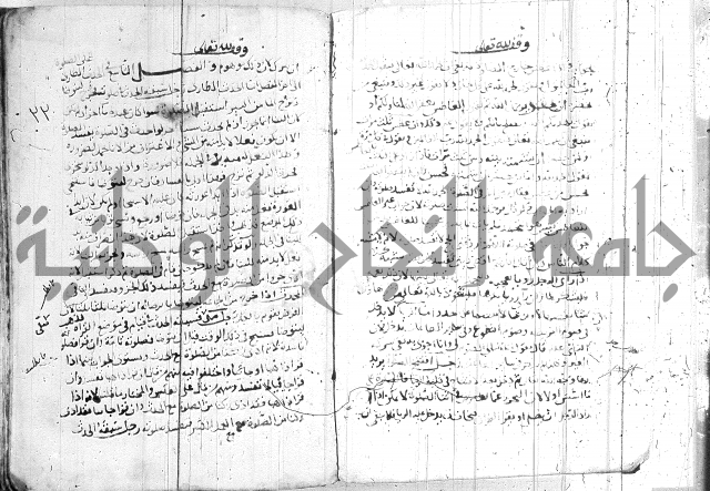 الفتاوى الولوالجية  
