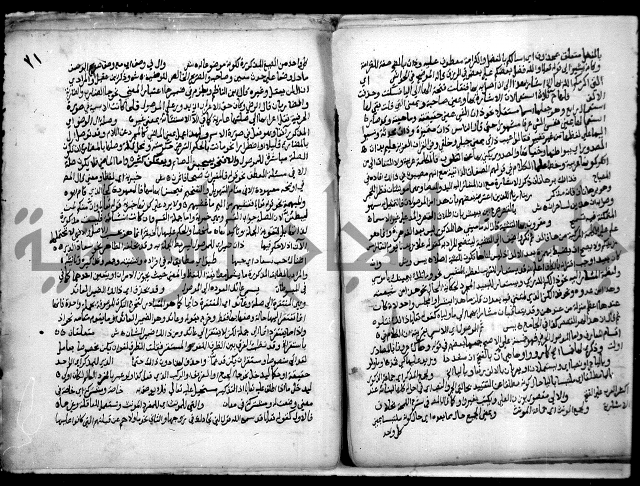 حاشية السجاعي على شرح قطر الندى وبل الصدى لابن هشام