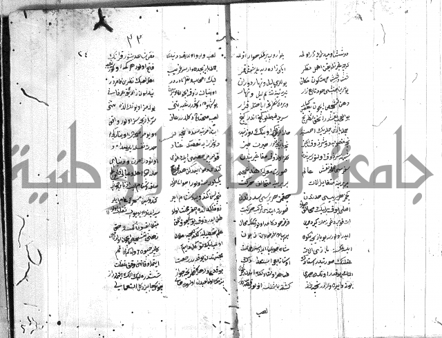 نظم تركي