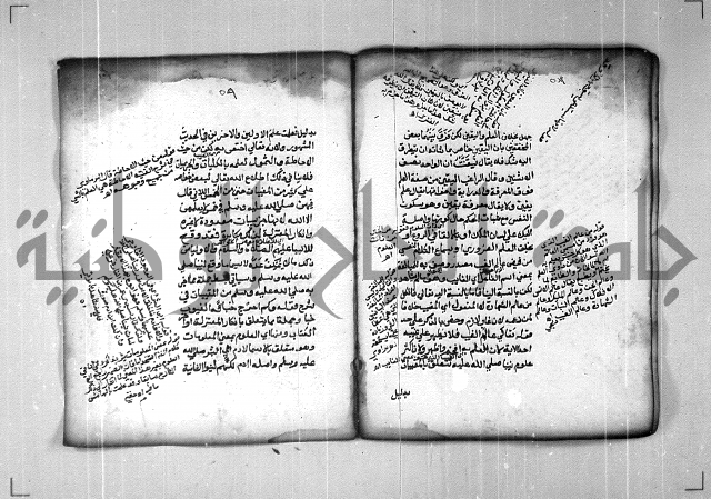 شرح الهمزية  