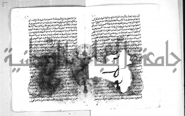 الهدهدي 