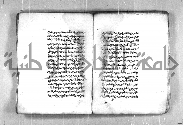 شمايل المصطفى 