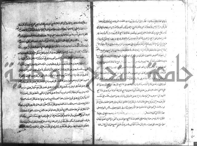 منية الفتى 