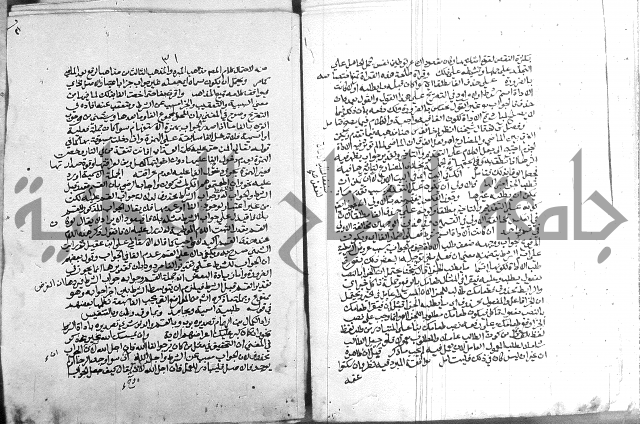 كتاب في اللغة العربية