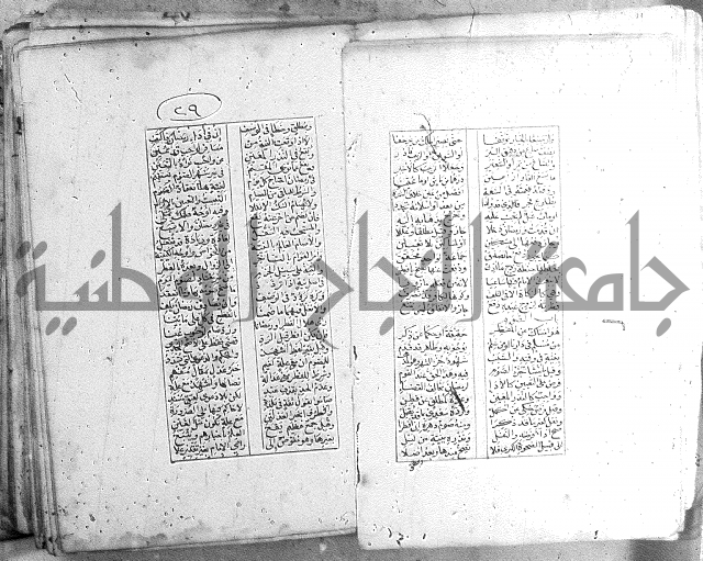 خلاصة التنوير 