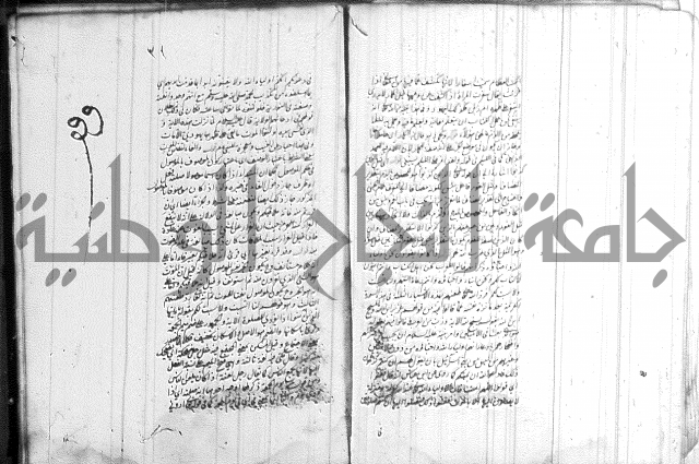 الظهار 