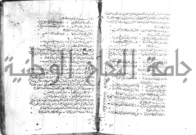 شرح لامية العجم 