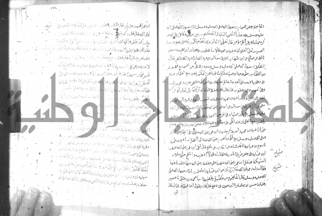 صحيح مسلم ج 2 