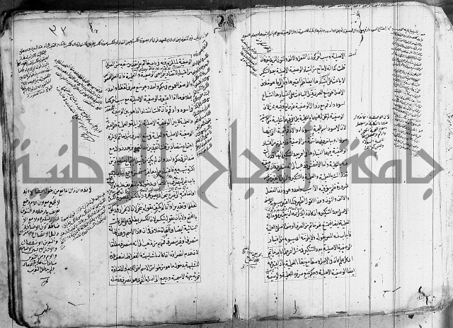 فوائد على الكافية 