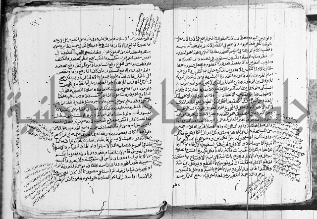 الزيادي على المنهج 