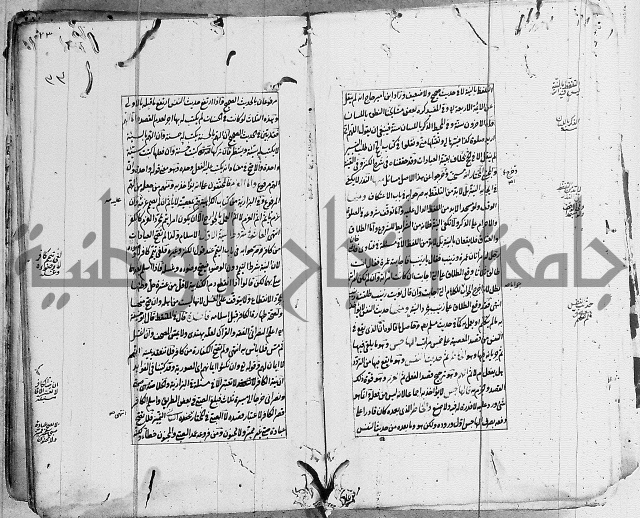 الاشباه والنظائر