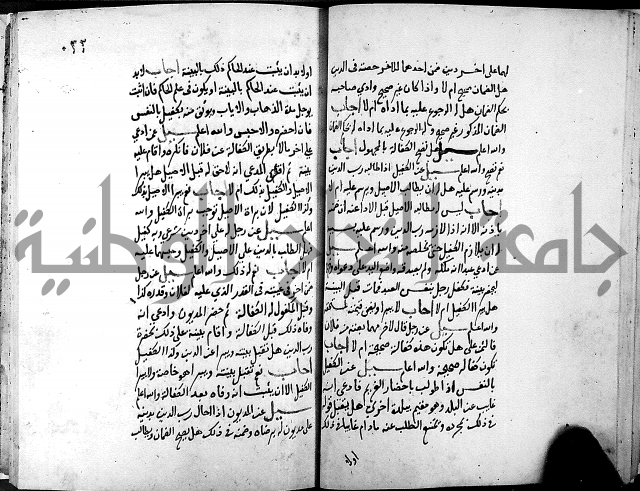 الفتاوى الامينية