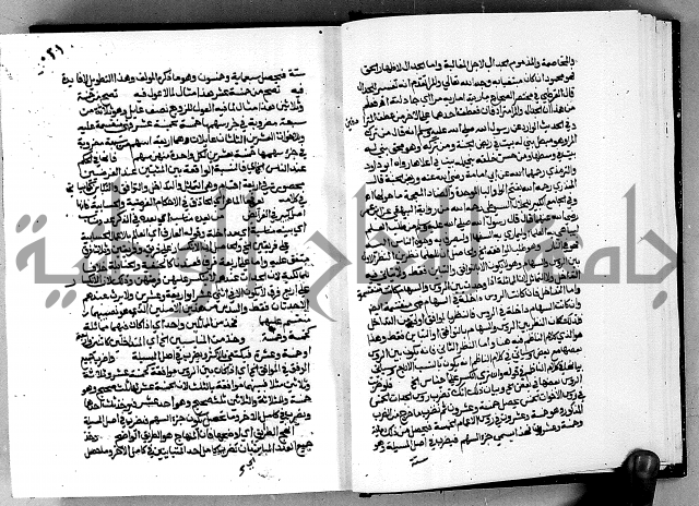 مختصر حاشية القهوتي 
