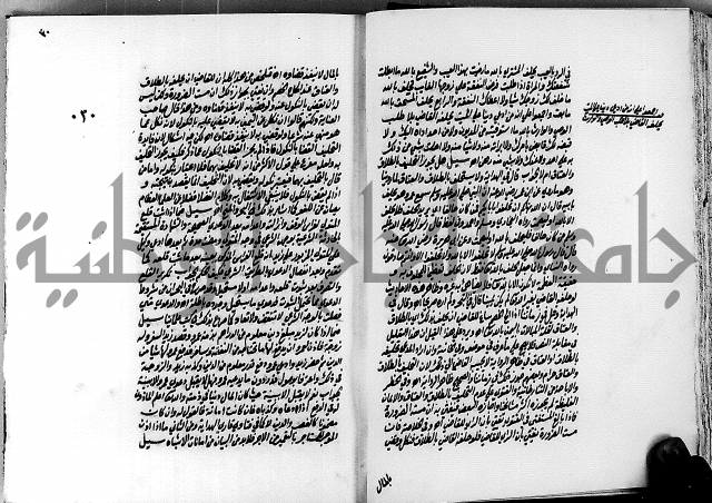 الجواهر الدورية في تنقيح الفتاوى الحامدية ج2 