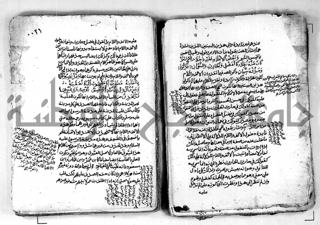 كتاب شرح الألفية للعلامة بن عقيل