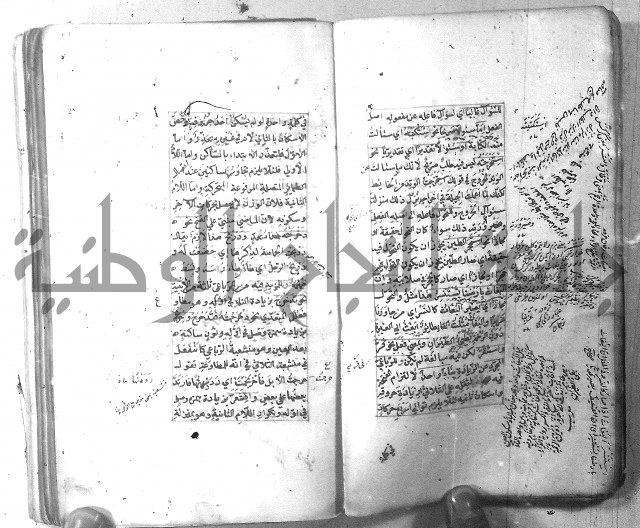 شرح الشافية 