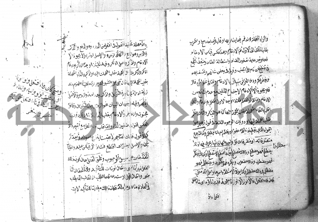 التفنن في الصرف