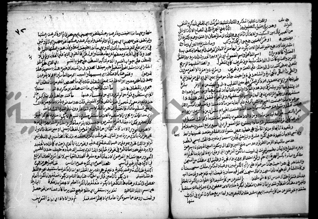 حاشية السجاعي على شرح قطر الندى وبل الصدى لابن هشام