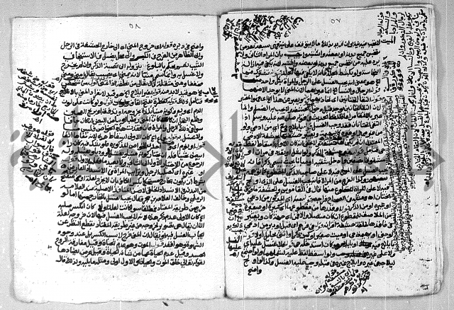 شرح الغاية