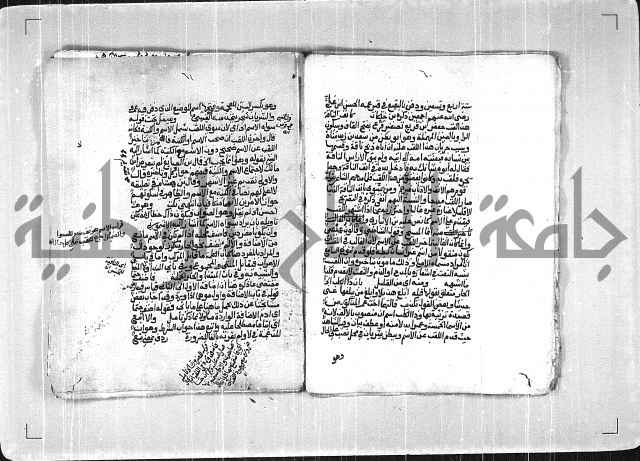 فتح الجليل  على شرح ابن عقيل 