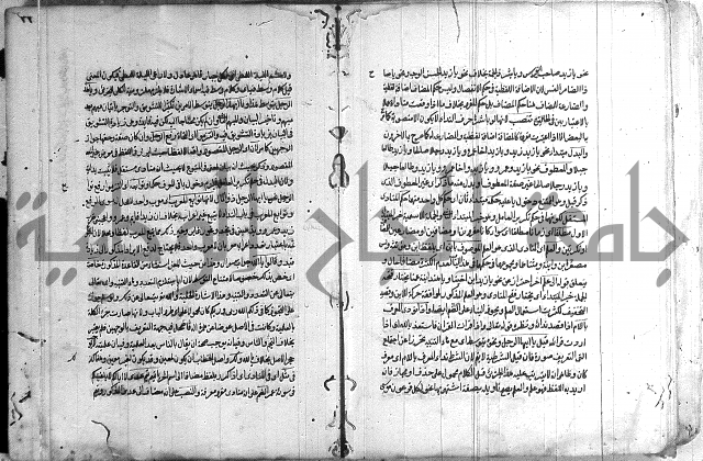 حواشي على رسالة ابن الحاجب = الهندي في شرح الكافية = المعافية في شرح الكافية
