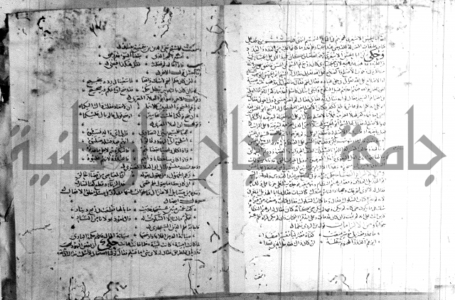 شرح لامية العجم 