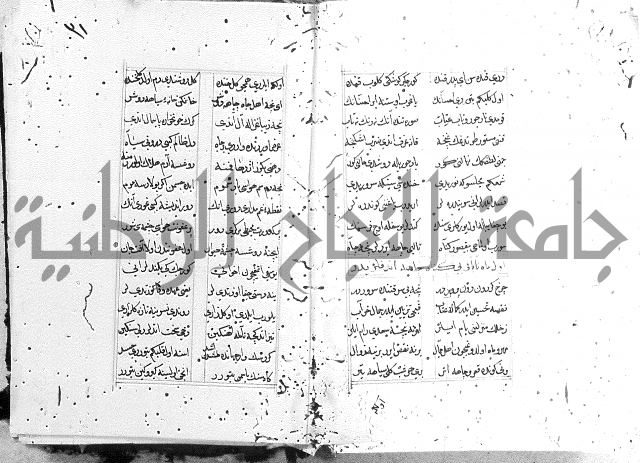 كتاب يوسف زليخا المؤلف 