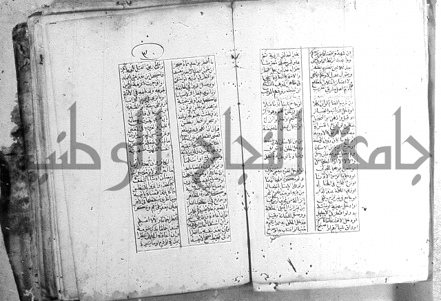 خلاصة التنوير 