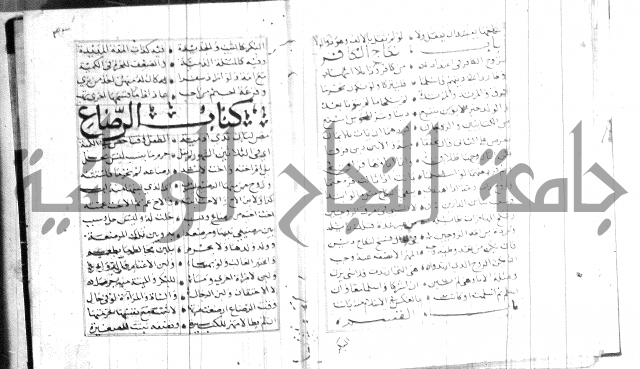 نظم كنز الدقائق