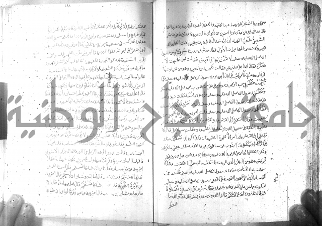 صحيح مسلم ج 2 