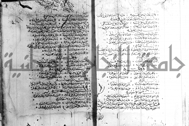 شرح لامية العجم 