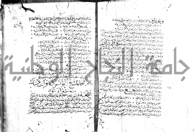 شرح لامية العجم 