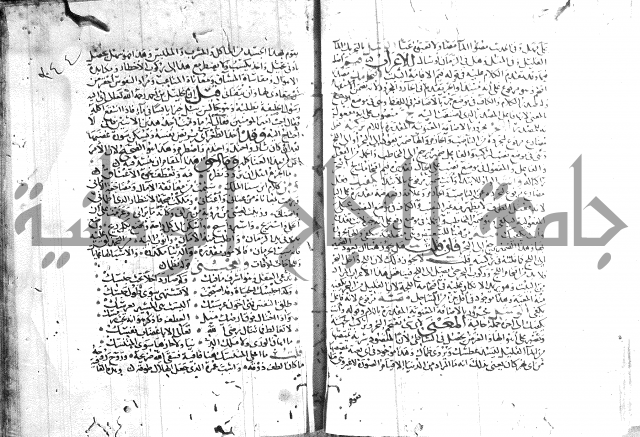 شرح لامية العجم 