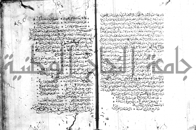 شرح لامية العجم 