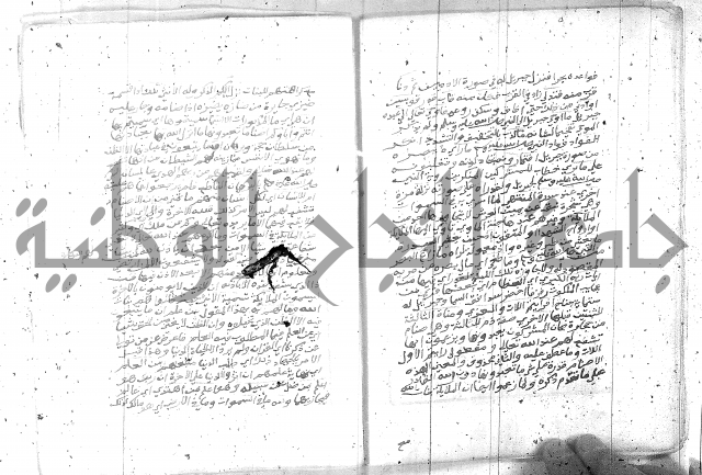 تفسير الجلالين 