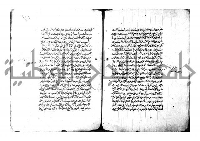 شرح شذور الذهب لابن هشام