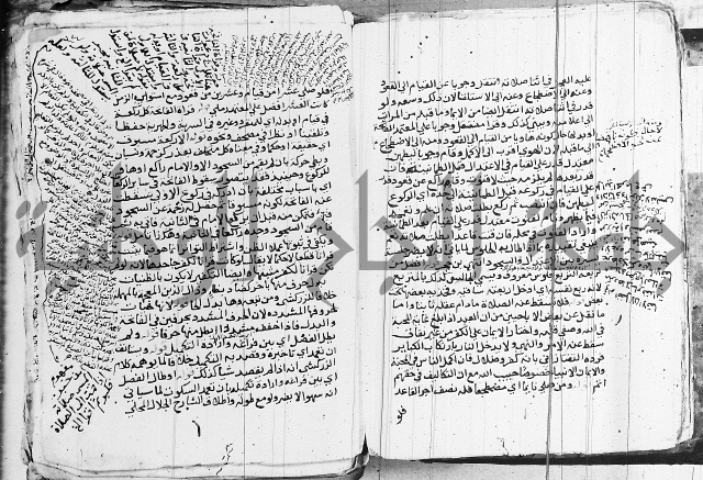 الزيادي على المنهج 