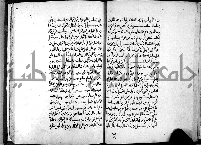 الفتاوى الامينية