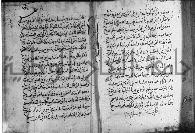 ديوان الصرصري