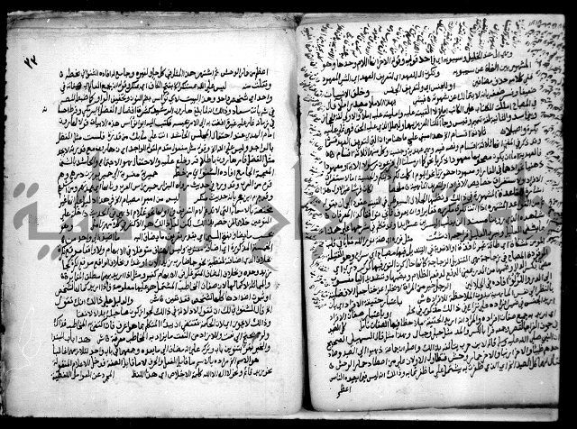 حاشية السجاعي على شرح قطر الندى وبل الصدى لابن هشام