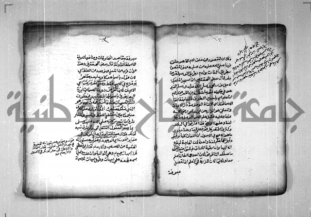 شرح الهمزية  