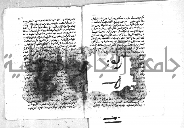 الهدهدي 