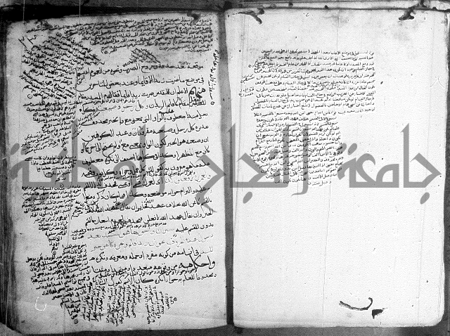 المواشح على الكافية